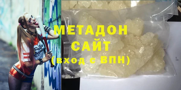 индика Алексин