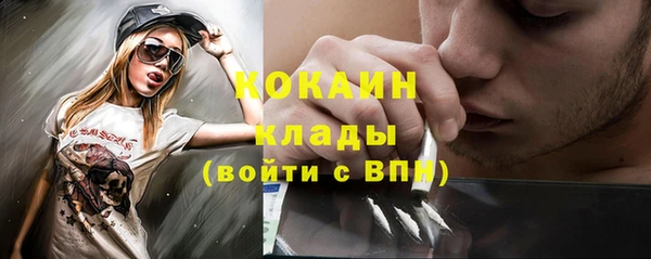 индика Алексин