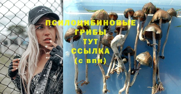 индика Алексин