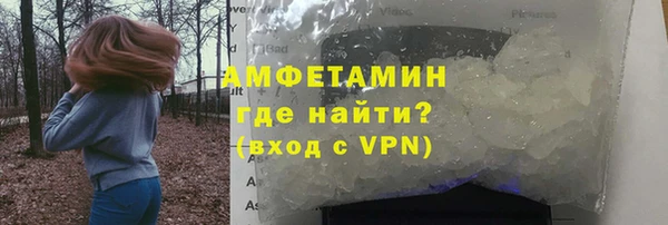 индика Алексин