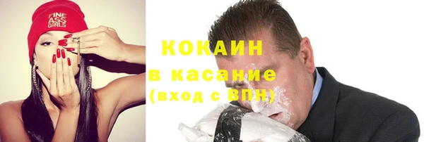 индика Алексин