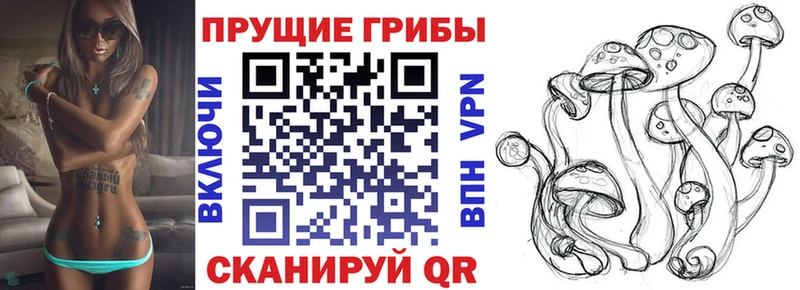Галлюциногенные грибы мицелий  купить   OMG как войти  Закаменск 